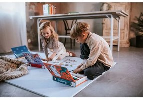 Janod - Set interactiv magnetic MAGNETIBOOK animale