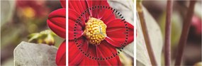 Tablou cu floare (cu ceas) (90x30 cm)