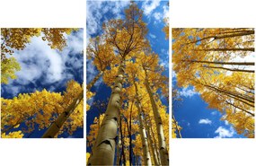 Tablou - Aspen (90x60 cm)