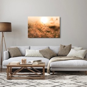 Tablou - Iarbă la soare (90x60 cm)