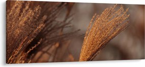 Tablou - Cortaderie (120x50 cm)