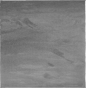 vidaXL Covor „OVIEDO”, fire scurte, antracit, 240x240 cm