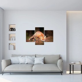 Tablou - Vulpe in pădure (90x60 cm)