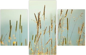 Tablou - Luncă (90x60 cm)