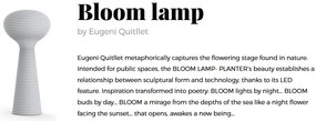 CORP DE ILUMINAT LED DECORATIV BLOOM LAMP