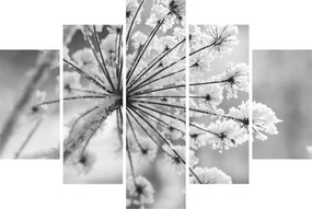 Tablou - Floare în timpul iernii (150x105 cm)
