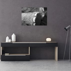 Tablou pe sticlă - Picior de elefant (70x50 cm)