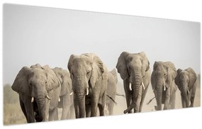 Tablou - Turmă de elefanți (120x50 cm)