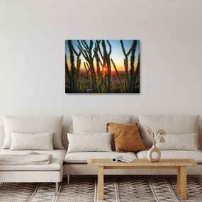 Tablou - Plante (70x50 cm)