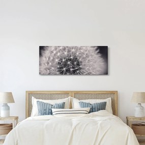 Tablou cu păpădie (120x50 cm)