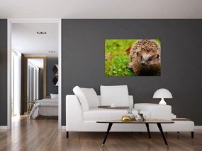 Tablou cu arici (90x60 cm)
