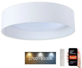 Plafonieră LED dimabilă SMART GALAXY LED/24W/230V d. 45 cm Wi-Fi Tuya + telecomandă