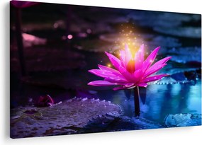 Tablou cu lotus pe apă (90x60 cm)