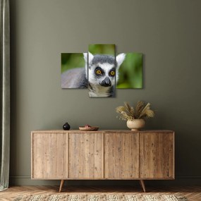 Tablou cu lemur (90x60 cm)