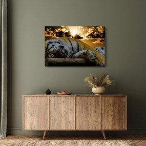 Tablou tigrul dormind (90x60 cm)