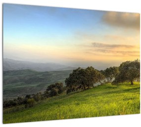 Tablou - Privire de pe deal (70x50 cm)