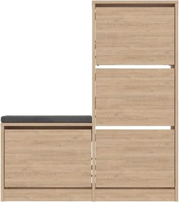 Pantofar DUDE, stejar, PAL melaminat, 105x26x119 cm
