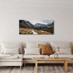 Tablou - Poteca în valea muntelui Mt. Cook (120x50 cm)