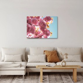 Tablou - Floare de cireș (70x50 cm)