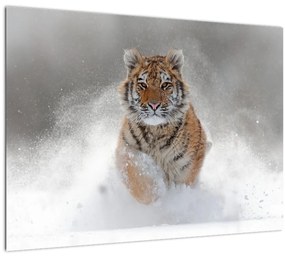 Tablou cutigru fugind prin zăpadă (70x50 cm), în 40 de alte dimensiuni noi