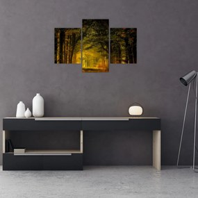 Tablou cu pădure (90x60 cm)