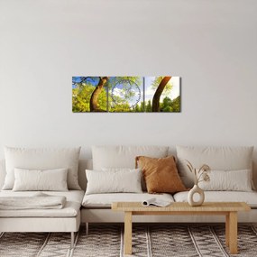 Tablou lunca ne primăvară (cu ceas) (90x30 cm)