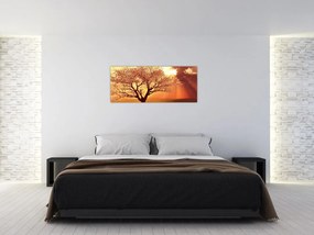 Tablou cu razele lui Dumnezeu (120x50 cm)