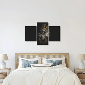 Tablou cu bufnița (90x60 cm)
