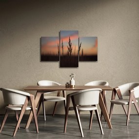 Tablou - Silueta plantei (90x60 cm)