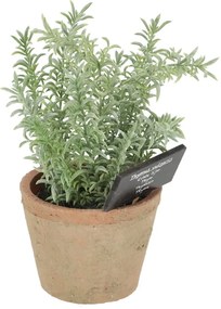 Plantă artificială (înălțime 21,5 cm) Thyme – Esschert Design