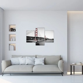 Tablou cu pod (90x60 cm)