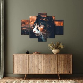 Tablou - Privirea pisicii (150x105 cm)