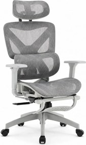 Scaun ergonomic, functie translatie sezut, cotiere 3D, tetiera 3D, suport lombar Adaptive, pivotant, suport picioare, Gri