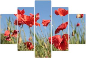 Tablou - Maci (150x105 cm)