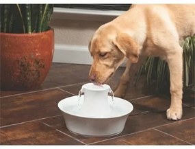 PetSafe® Avalon Fântână ceramică 2 l