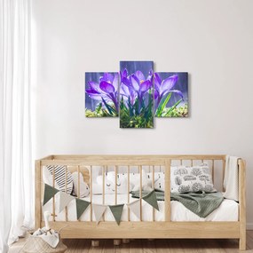 Tablou cuflori în ploaie (90x60 cm)
