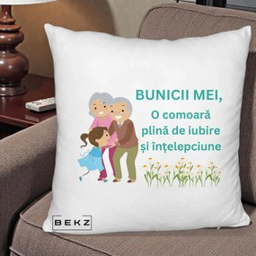 Cadou pentru Bunici - Perna Personalizata Bunicii Mei Comoara Iubire Intelepciune Nepoata, 40x40 cm, Alb Pufos, Husa Detasabila, Perna Inclusa, BEKZ®