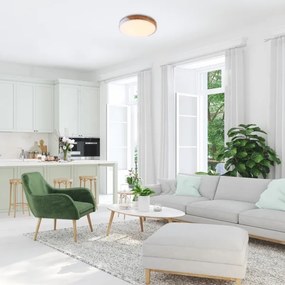 Plafonieră LED MAPLE 24W/230V albă Rabalux 3527