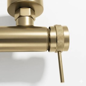 Baterie pentru cada Rea Lungo Grip auriu periat