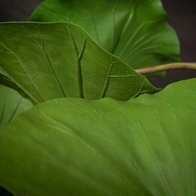 Aranjament floral mare ETERNITY ANNALISA