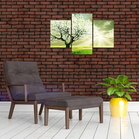 Tablou cu copaci pe luncă (90x60 cm)