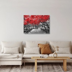 Tablou pe sticlă - Copaci roșii, Central Park, New York (70x50 cm)