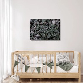 Tablou pe sticlă - Plante înghețate (70x50 cm)