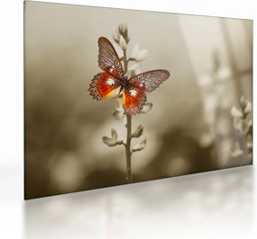 Tablou pe sticlă cu fluture (70x50 cm)