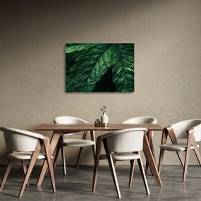 Tablou pe sticlă - Detaliu al foii (70x50 cm)