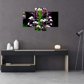 Tablou cu floare (90x60 cm)