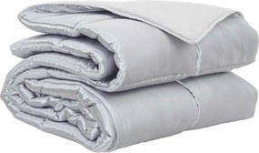 vidaXL Duvet complet pe tot parcursul anului Argintiu 135 x 200 cm