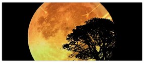 Tablou cu umbre în lumina lunii (120x50 cm)