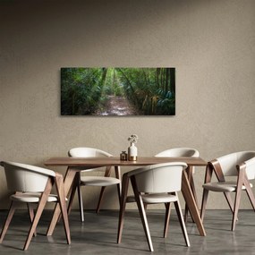 Tablou - Razele solare în junglă (120x50 cm)
