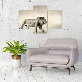 Tablou - Leul flămând (90x60 cm)